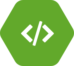 Software Developer